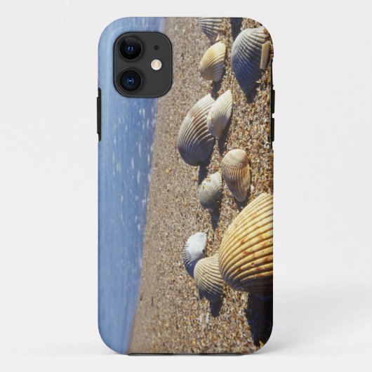 USA, Florida, Muscheln an der Küste Case-Mate iPhone Hülle (Rückseite)