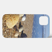 USA, Florida, Muscheln an der Küste Case-Mate iPhone Hülle (Rückseite (Horizontal))