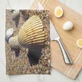 USA, Florida, Muscheln an der Küste Geschirrtuch (Viertel Falte)