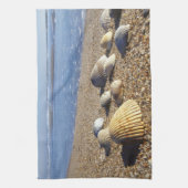 USA, Florida, Muscheln an der Küste Geschirrtuch (Vertikal)