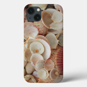 USA, Florida. Nahaufnahme von Muscheln auf Santa R Case-Mate iPhone Hülle