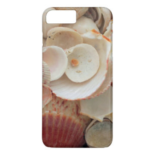 USA, Florida. Nahaufnahme von Muscheln auf Santa R Case-Mate iPhone Hülle
