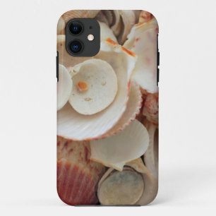 USA, Florida. Nahaufnahme von Muscheln auf Santa R Case-Mate iPhone Hülle
