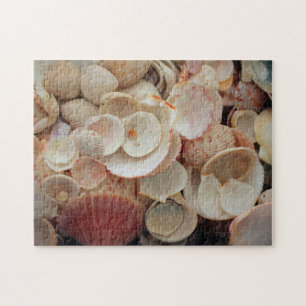 USA, Florida. Nahaufnahme von Muscheln auf Santa R Puzzle