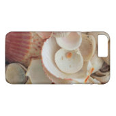 USA, Florida. Nahe Aufnahme von Muscheln in Santa  Case-Mate iPhone Hülle (Rückseite (Horizontal))