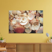 USA, Florida. Nahen Muscheln auf Santa Rosa Leinwanddruck (Insitu (Wohnzimmer))