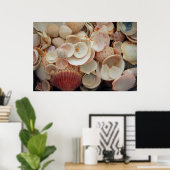 USA, Florida. Nahen Muscheln auf Santa Rosa Poster (Heimbüro)