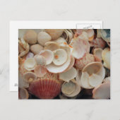 USA, Florida. Nahen Muscheln auf Santa Rosa Postkarte (Vorne/Hinten)