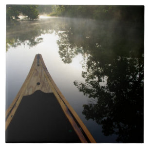 USA, Florida, Ocala National Forest, Alexander Fliese