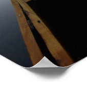 USA, Florida, Ocala National Forest, Alexander Poster (Ecke)