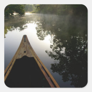 USA, Florida, Ocala National Forest, Alexander Quadratischer Aufkleber
