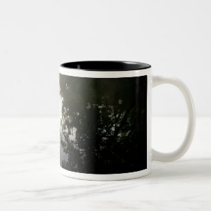 USA, Florida, Ocala National Forest, Alexander Zweifarbige Tasse