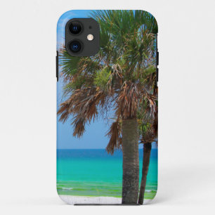 USA, Florida. Palmen an der Emerald Coast iPhone 11 Hülle