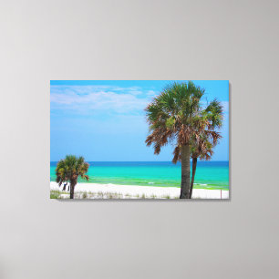 USA, Florida. Palmen an der Emerald Coast Leinwanddruck