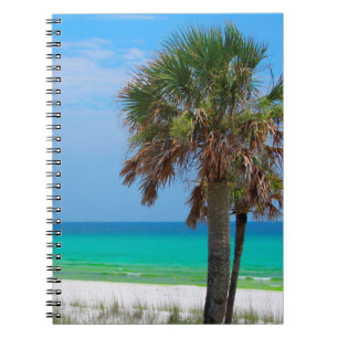 USA, Florida. Palmen an der Emerald Coast Notizblock