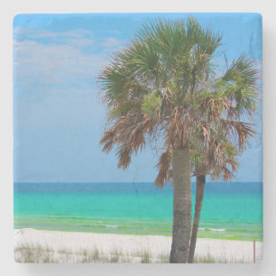 USA, Florida. Palmen an der Emerald Coast Steinuntersetzer