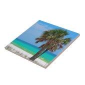 USA, Florida. Palmen an der smaragdgrünen Küste Fliese (Seite)