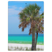 USA, Florida. Palmen an der smaragdgrünen Küste Klemmbrett (Rückseite)