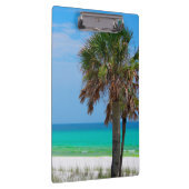 USA, Florida. Palmen an der smaragdgrünen Küste Klemmbrett (Rechts)
