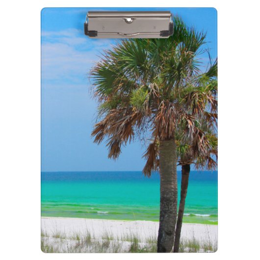 USA, Florida. Palmen an der smaragdgrünen Küste Klemmbrett (Vorderseite)
