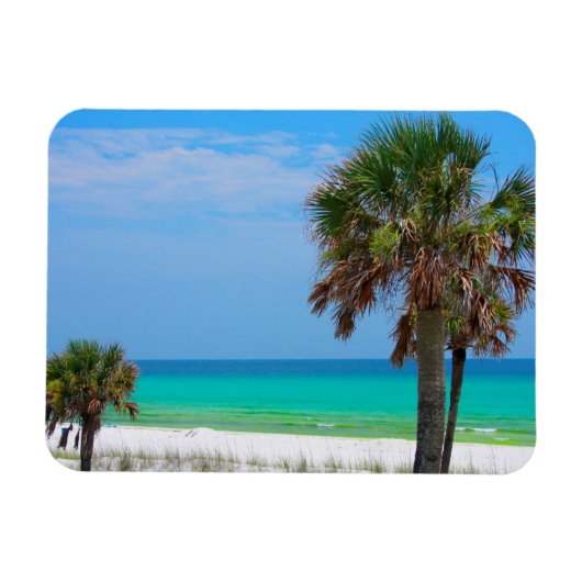 USA, Florida. Palmen an der Smaragdküste Magnet (Horizontal)