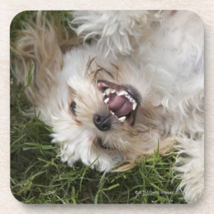 USA, Florida, Ponte Vedra Beach Untersetzer