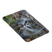 USA, Florida, Sanibel, Ding Darling National Magnet (Rechte Seite)