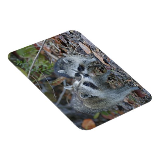 USA, Florida, Sanibel, Ding Darling National Magnet (Rechte Seite)