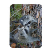 USA, Florida, Sanibel, Ding Darling National Magnet (Vertikal)