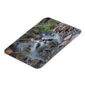 USA, Florida, Sanibel, Ding Darling National Magnet (Linke Seite)