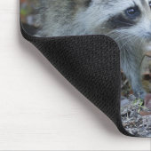 USA, Florida, Sanibel, Ding Darling National Mousepad (Ecke)