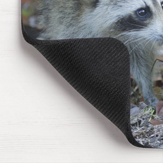 USA, Florida, Sanibel, Ding Darling National Mousepad (Ecke)