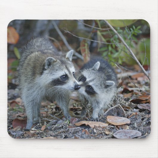 USA, Florida, Sanibel, Ding Darling National Mousepad (Vorne)