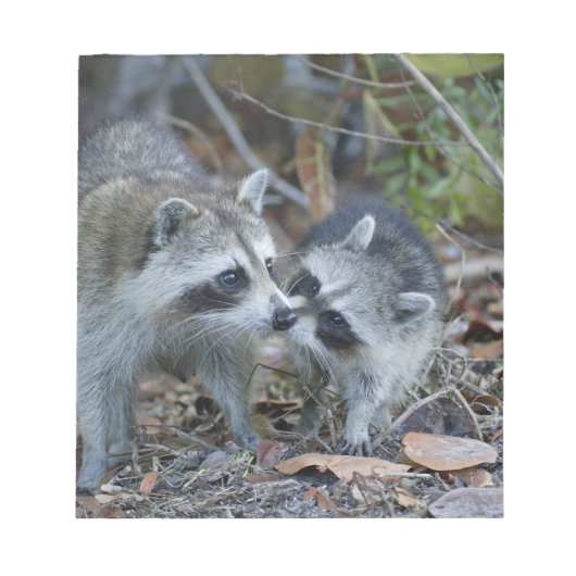 USA, Florida, Sanibel, Ding Darling National Notizblock (Vorderseite)