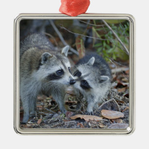 USA, Florida, Sanibel, Ding Darling National Ornament Aus Metall