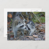 USA, Florida, Sanibel, Ding Darling National Postkarte (Vorne/Hinten)