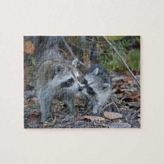 USA, Florida, Sanibel, Ding Darling National Puzzle (Horizontal)