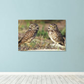 USA, Florida, Sanibel Island. Naher Leinwanddruck (Insitu (Holzboden))