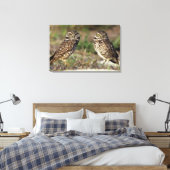 USA, Florida, Sanibel Island. Naher Leinwanddruck (Insitu (Schlafzimmer))