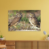 USA, Florida, Sanibel Island. Naher Leinwanddruck (Insitu (Wohnzimmer))