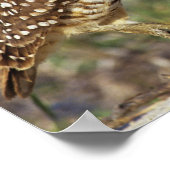 USA, Florida, Sanibel Island. Naher Poster (Ecke)