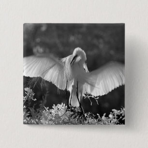 USA, Florida, Silberreiher (Ardea alba) Infrarot 2 Button