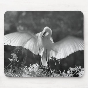USA, Florida, Silberreiher (Ardea alba) Infrarot 2 Mousepad