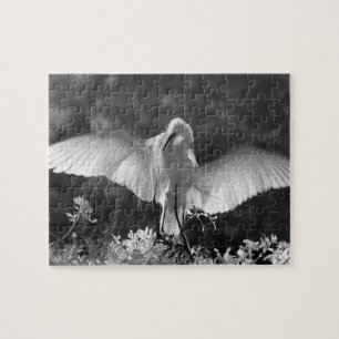 USA, Florida, Silberreiher (Ardea alba) Infrarot 2 Puzzle