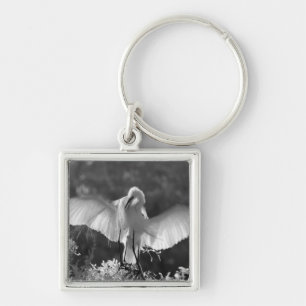USA, Florida, Silberreiher (Ardea alba) Infrarot 2 Schlüsselanhänger