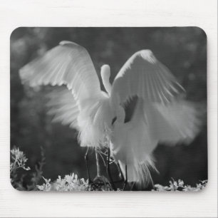 USA, Florida, Silberreiher (Ardea alba) Infrarot 3 Mousepad