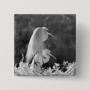 USA, Florida, Silberreiher (Ardea alba) Infrarot Button