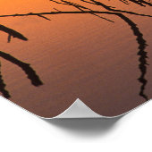 USA, Florida. Silhouettes of dead tree branches Poster (Ecke)