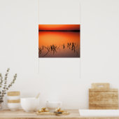 USA, Florida. Silhouettes of dead tree branches Poster (Küche)