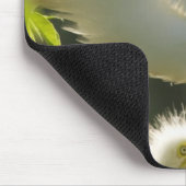 USA, Florida, St. Augustine, Alligator Farm Mousepad (Ecke)